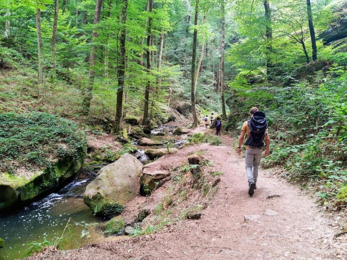 Nice Tent Lodge On A Campsite, Bordering The Forest, Luxembourg At 27 Km Medernach Buitenkant foto